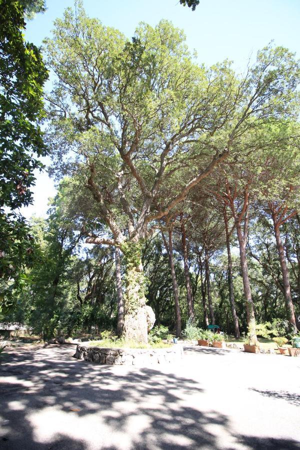 Baia D'argento Bed & Breakfast